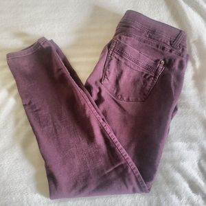 Purple Democracy Jeans